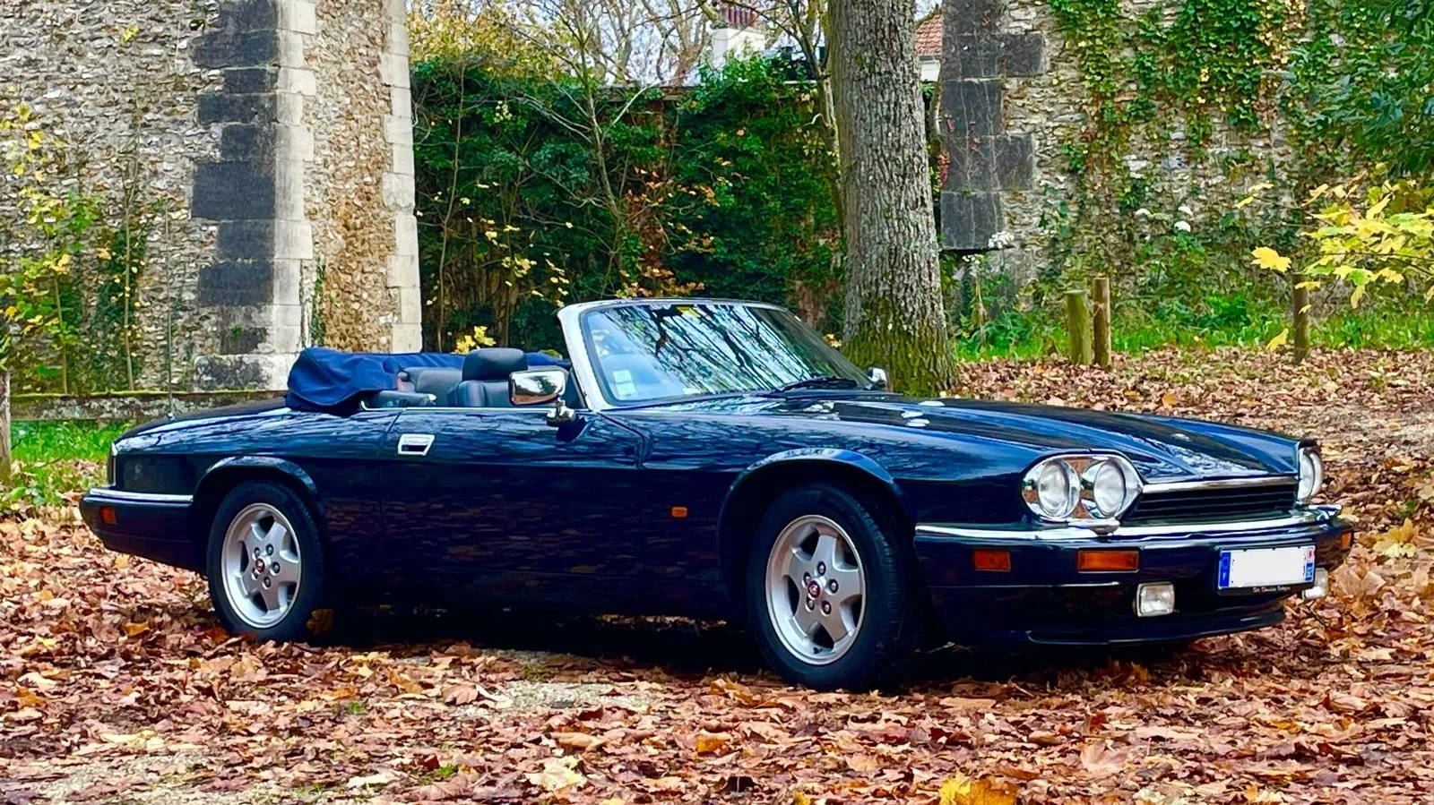 Jaguar  XJS Cabriolet 