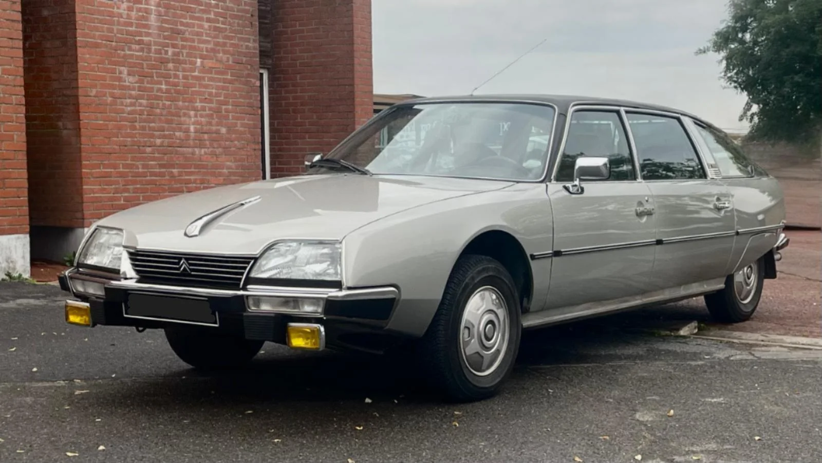 Image pour voiture 19