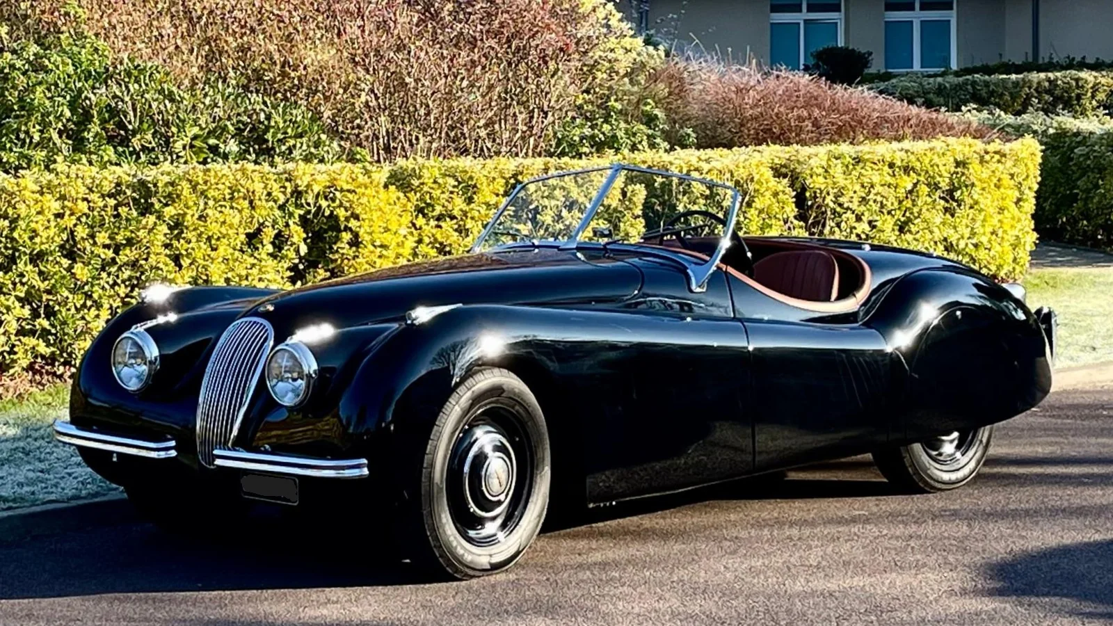 Image pour voiture 23