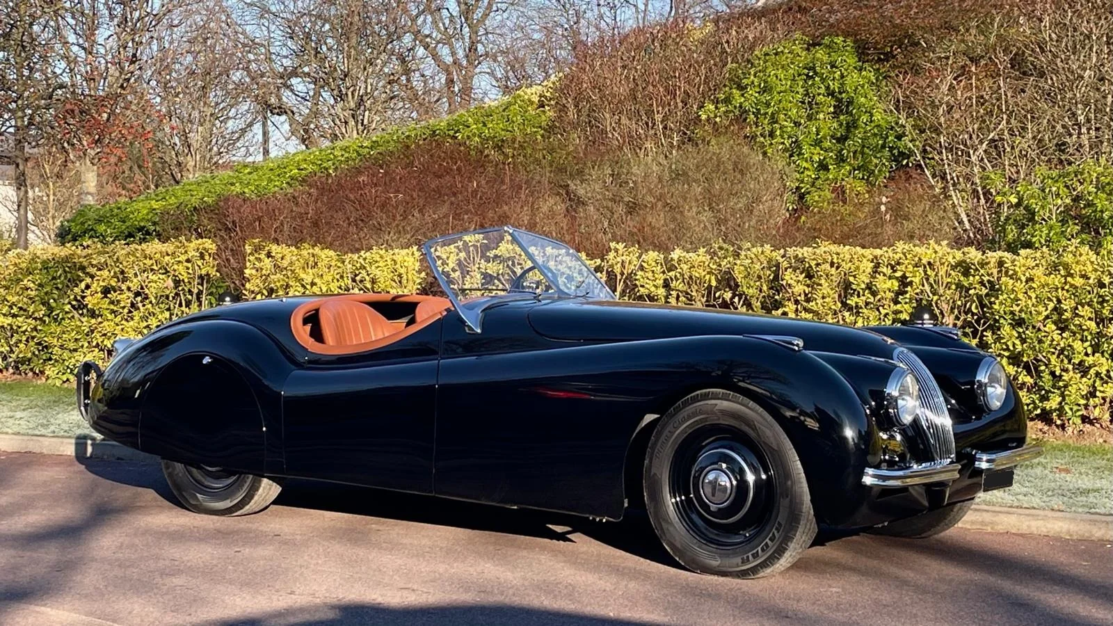 Image pour voiture 23